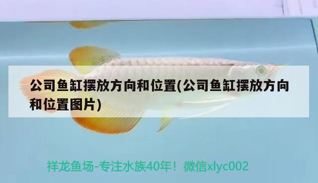 公司魚缸擺放方向和位置(公司魚缸擺放方向和位置圖片) 二氧化碳設(shè)備