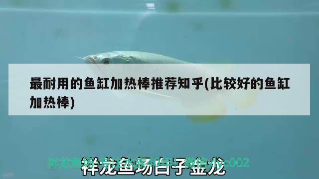 最耐用的魚缸加熱棒推薦知乎(比較好的魚缸加熱棒) 觀賞魚進(jìn)出口