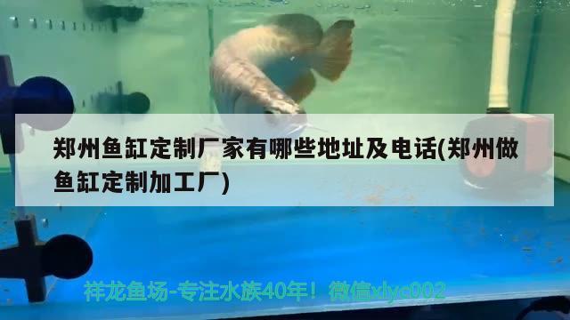 鄭州魚缸定制廠家有哪些地址及電話(鄭州做魚缸定制加工廠)