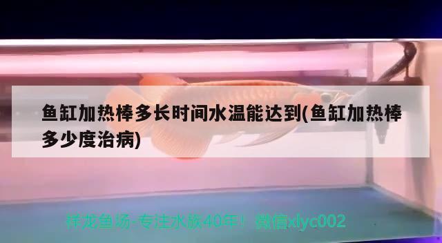 魚缸加熱棒多長時間水溫能達到(魚缸加熱棒多少度治病) 黃金招財貓魚