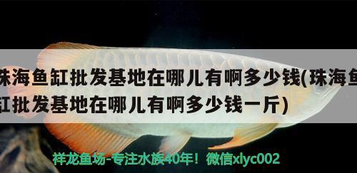 珠海魚缸批發(fā)基地在哪兒有啊多少錢(珠海魚缸批發(fā)基地在哪兒有啊多少錢一斤)