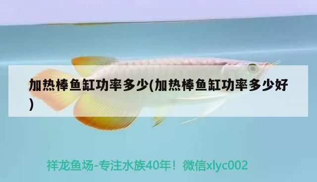 加熱棒魚缸功率多少(加熱棒魚缸功率多少好)