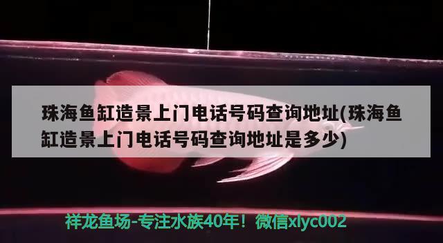 珠海魚缸造景上門電話號碼查詢地址(珠海魚缸造景上門電話號碼查詢地址是多少)