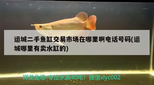 運(yùn)城二手魚缸交易市場在哪里啊電話號碼(運(yùn)城哪里有賣水缸的)