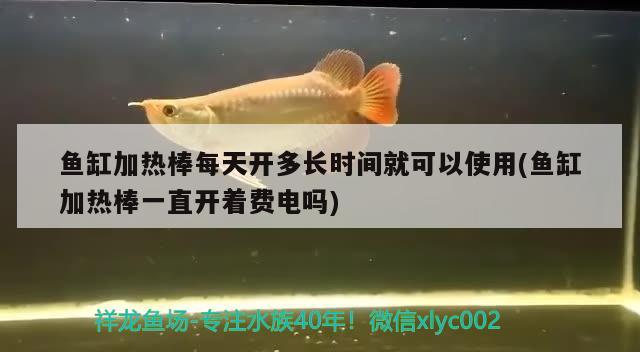 魚缸加熱棒每天開多長時(shí)間就可以使用(魚缸加熱棒一直開著費(fèi)電嗎)