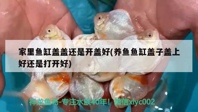 家里魚缸蓋蓋還是開蓋好(養(yǎng)魚魚缸蓋子蓋上好還是打開好)