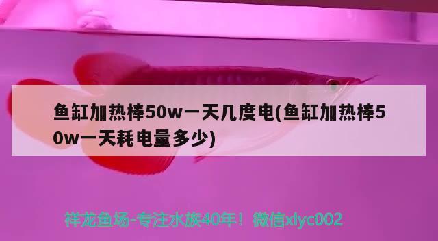 魚缸加熱棒50w一天幾度電(魚缸加熱棒50w一天耗電量多少)