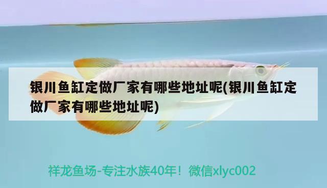 銀川魚(yú)缸定做廠家有哪些地址呢(銀川魚(yú)缸定做廠家有哪些地址呢)