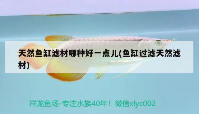 天然魚(yú)缸濾材哪種好一點(diǎn)兒(魚(yú)缸過(guò)濾天然濾材)