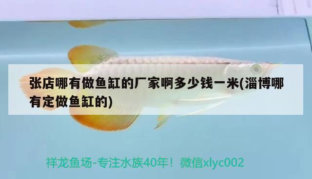 張店哪有做魚缸的廠家啊多少錢一米(淄博哪有定做魚缸的) 廣州觀賞魚魚苗批發(fā)市場