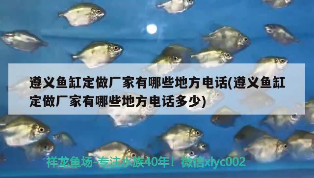 遵義魚缸定做廠家有哪些地方電話(遵義魚缸定做廠家有哪些地方電話多少)