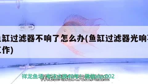 魚缸過濾器不響了怎么辦(魚缸過濾器光響不工作)