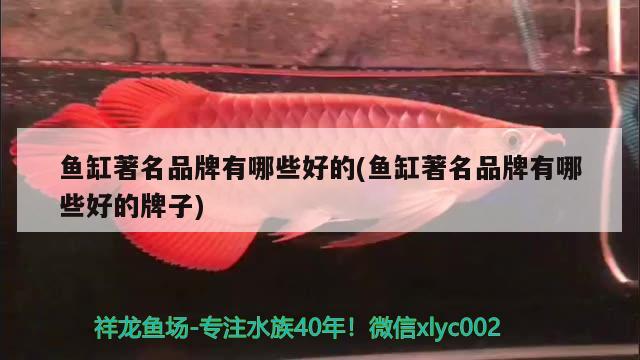 魚缸著名品牌有哪些好的(魚缸著名品牌有哪些好的牌子)