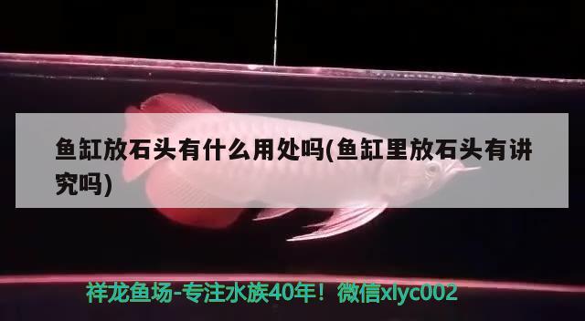 魚缸放石頭有什么用處嗎(魚缸里放石頭有講究嗎)