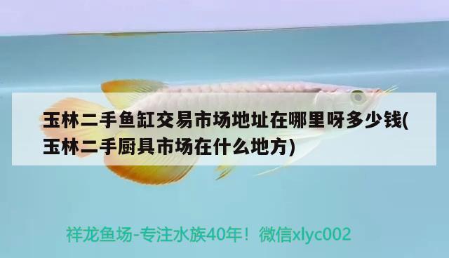 玉林二手魚(yú)缸交易市場(chǎng)地址在哪里呀多少錢(qián)(玉林二手廚具市場(chǎng)在什么地方)