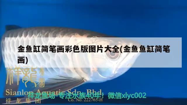 金魚缸簡筆畫彩色版圖片大全(金魚魚缸簡筆畫)