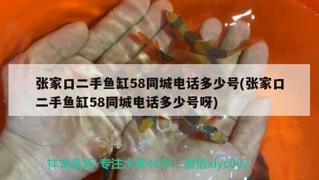 張家口二手魚缸58同城電話多少號(張家口二手魚缸58同城電話多少號呀)