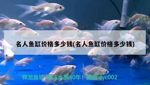 名人魚(yú)缸價(jià)格多少錢(名人魚(yú)缸價(jià)格多少錢)