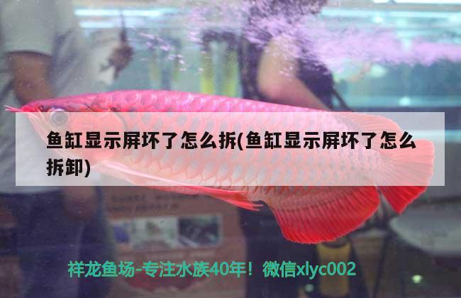 魚缸顯示屏壞了怎么拆(魚缸顯示屏壞了怎么拆卸)