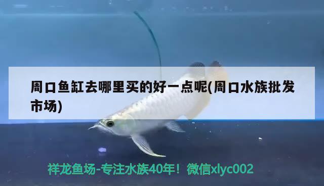 周口魚缸去哪里買的好一點呢(周口水族批發(fā)市場)