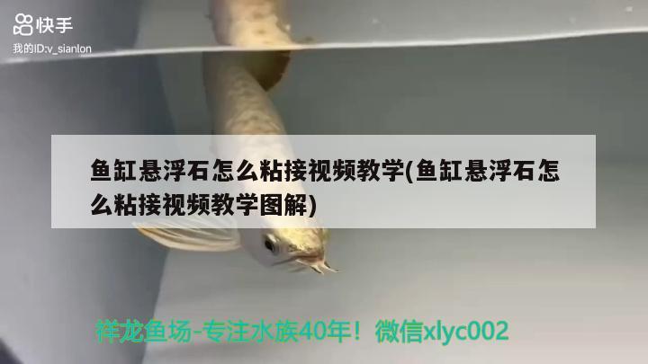 魚缸懸浮石怎么粘接視頻教學(xué)(魚缸懸浮石怎么粘接視頻教學(xué)圖解) 廣州水族器材濾材批發(fā)市場(chǎng)