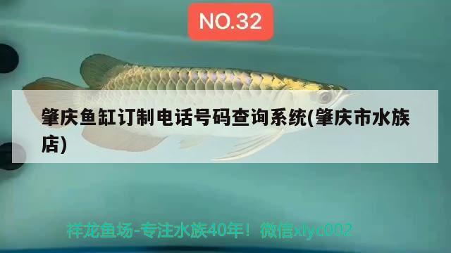 肇慶魚缸訂制電話號(hào)碼查詢系統(tǒng)(肇慶市水族店)