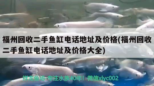 福州回收二手魚缸電話地址及價(jià)格(福州回收二手魚缸電話地址及價(jià)格大全) 紅龍魚百科