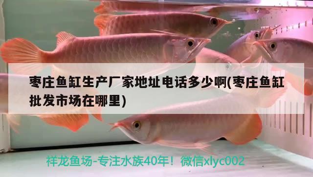 棗莊魚缸生產(chǎn)廠家地址電話多少啊(棗莊魚缸批發(fā)市場(chǎng)在哪里) 帝王血鉆