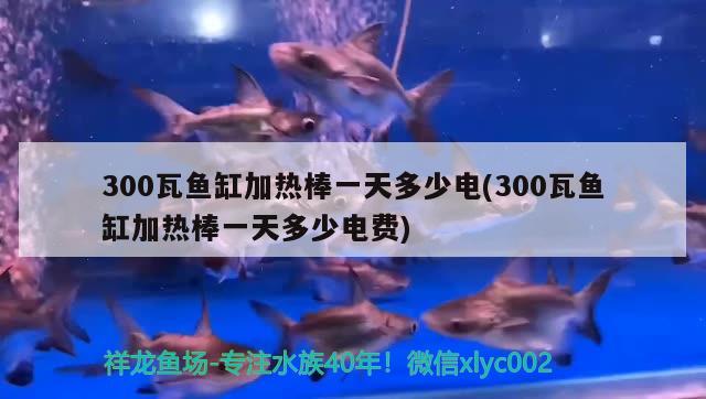 300瓦魚缸加熱棒一天多少電(300瓦魚缸加熱棒一天多少電費)