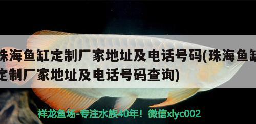 珠海魚(yú)缸定制廠家地址及電話號(hào)碼(珠海魚(yú)缸定制廠家地址及電話號(hào)碼查詢)