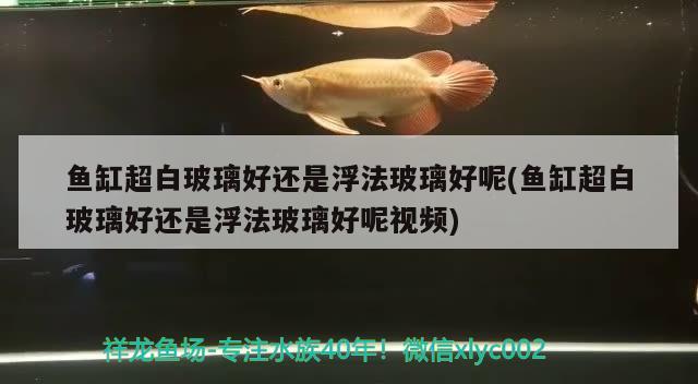 魚缸超白玻璃好還是浮法玻璃好呢(魚缸超白玻璃好還是浮法玻璃好呢視頻)