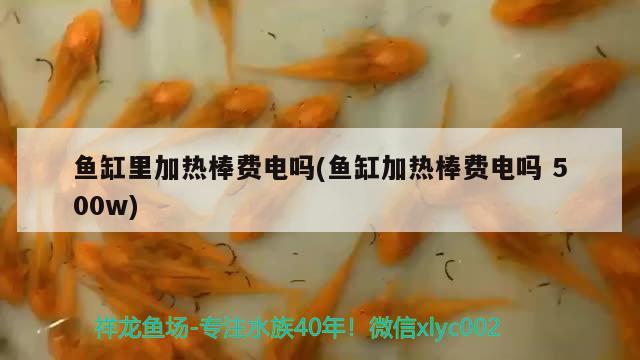 魚缸里加熱棒費(fèi)電嗎(魚缸加熱棒費(fèi)電嗎500w)