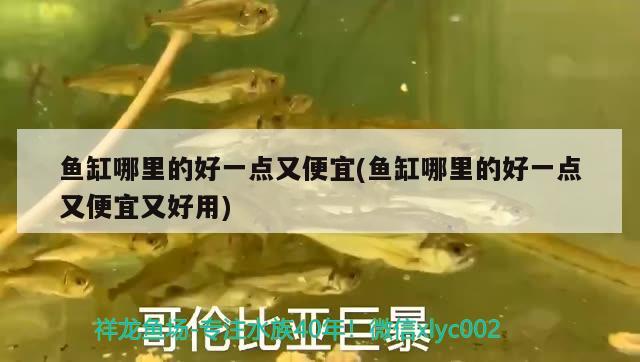 魚缸哪里的好一點(diǎn)又便宜(魚缸哪里的好一點(diǎn)又便宜又好用)