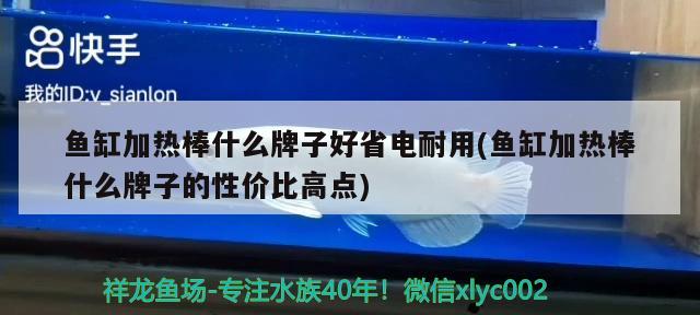 魚缸加熱棒什么牌子好省電耐用(魚缸加熱棒什么牌子的性價比高點)