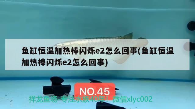 魚(yú)缸恒溫加熱棒閃爍e2怎么回事(魚(yú)缸恒溫加熱棒閃爍e2怎么回事) 海水魚(yú)（海水魚(yú)批發(fā)）