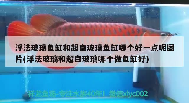 浮法玻璃魚缸和超白玻璃魚缸哪個好一點呢圖片(浮法玻璃和超白玻璃哪個做魚缸好)