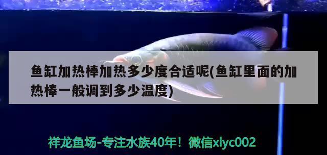 魚缸加熱棒加熱多少度合適呢(魚缸里面的加熱棒一般調(diào)到多少溫度)