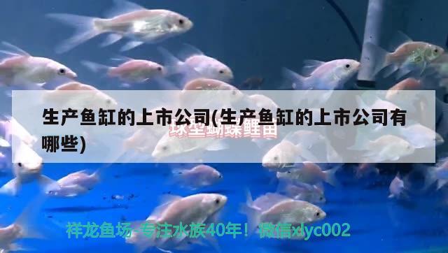 生產(chǎn)魚(yú)缸的上市公司(生產(chǎn)魚(yú)缸的上市公司有哪些)