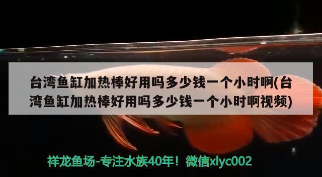 臺灣魚缸加熱棒好用嗎多少錢一個小時啊(臺灣魚缸加熱棒好用嗎多少錢一個小時啊視頻)