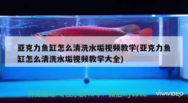 亞克力魚缸怎么清洗水垢視頻教學(亞克力魚缸怎么清洗水垢視頻教學大全)