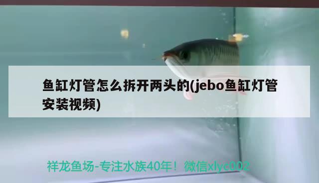 魚缸燈管怎么拆開兩頭的(jebo魚缸燈管安裝視頻) 觀賞魚水族批發(fā)市場(chǎng)