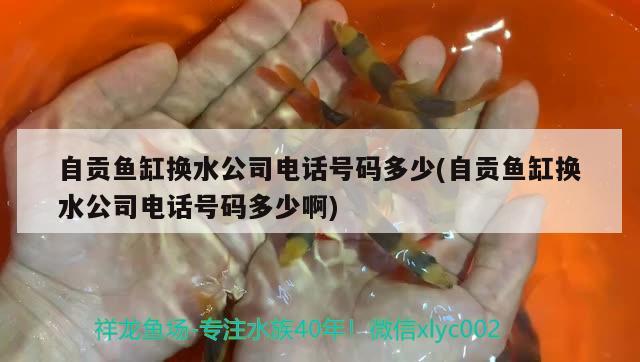 自貢魚缸換水公司電話號(hào)碼多少(自貢魚缸換水公司電話號(hào)碼多少啊)