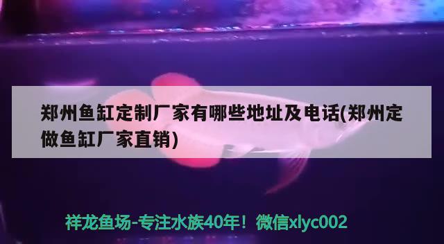 鄭州魚缸定制廠家有哪些地址及電話(鄭州定做魚缸廠家直銷)