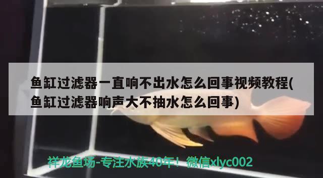 魚缸過濾器一直響不出水怎么回事視頻教程(魚缸過濾器響聲大不抽水怎么回事) 招財戰(zhàn)船魚