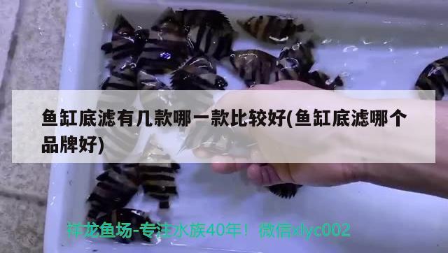 魚缸底濾有幾款哪一款比較好(魚缸底濾哪個品牌好) 魚缸風水