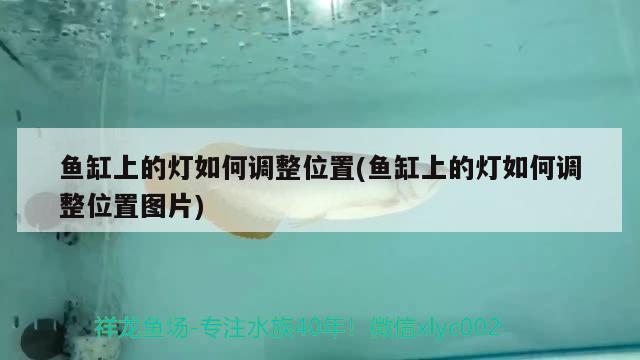 魚缸上的燈如何調(diào)整位置(魚缸上的燈如何調(diào)整位置圖片) 黑桃A魚苗