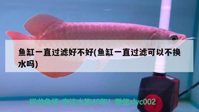 魚缸一直過(guò)濾好不好(魚缸一直過(guò)濾可以不換水嗎)