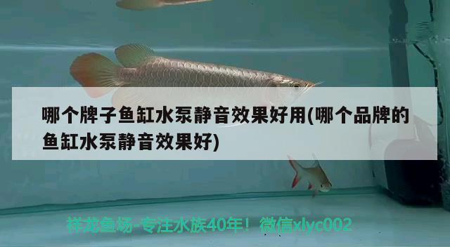 哪個牌子魚缸水泵靜音效果好用(哪個品牌的魚缸水泵靜音效果好)