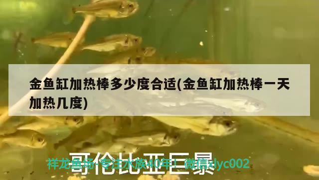 金魚缸加熱棒多少度合適(金魚缸加熱棒一天加熱幾度)