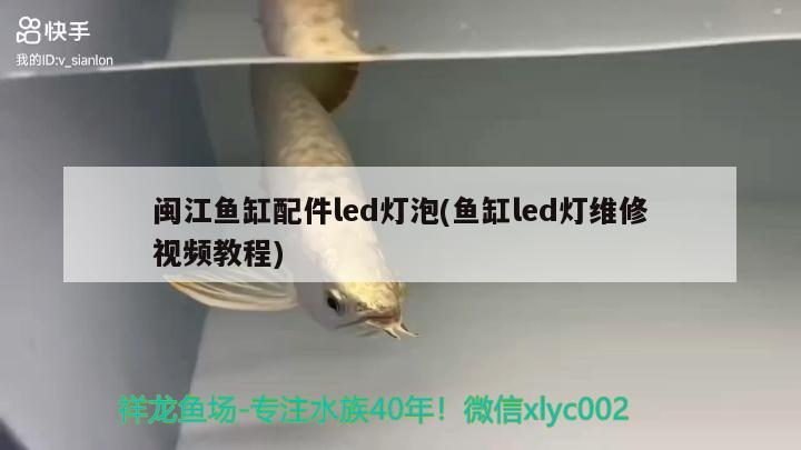 閩江魚缸配件led燈泡(魚缸led燈維修視頻教程)